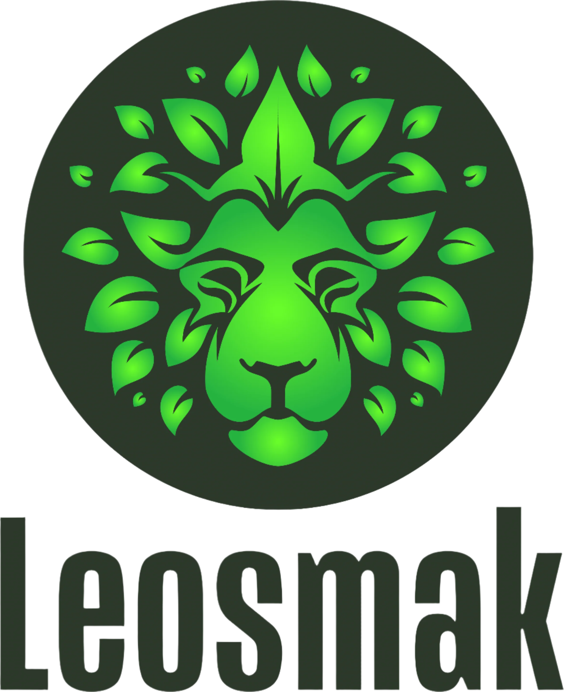 Leosmak logo