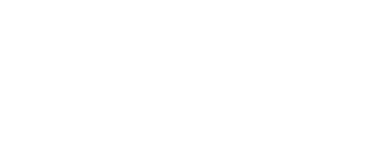 Leosmak preservation