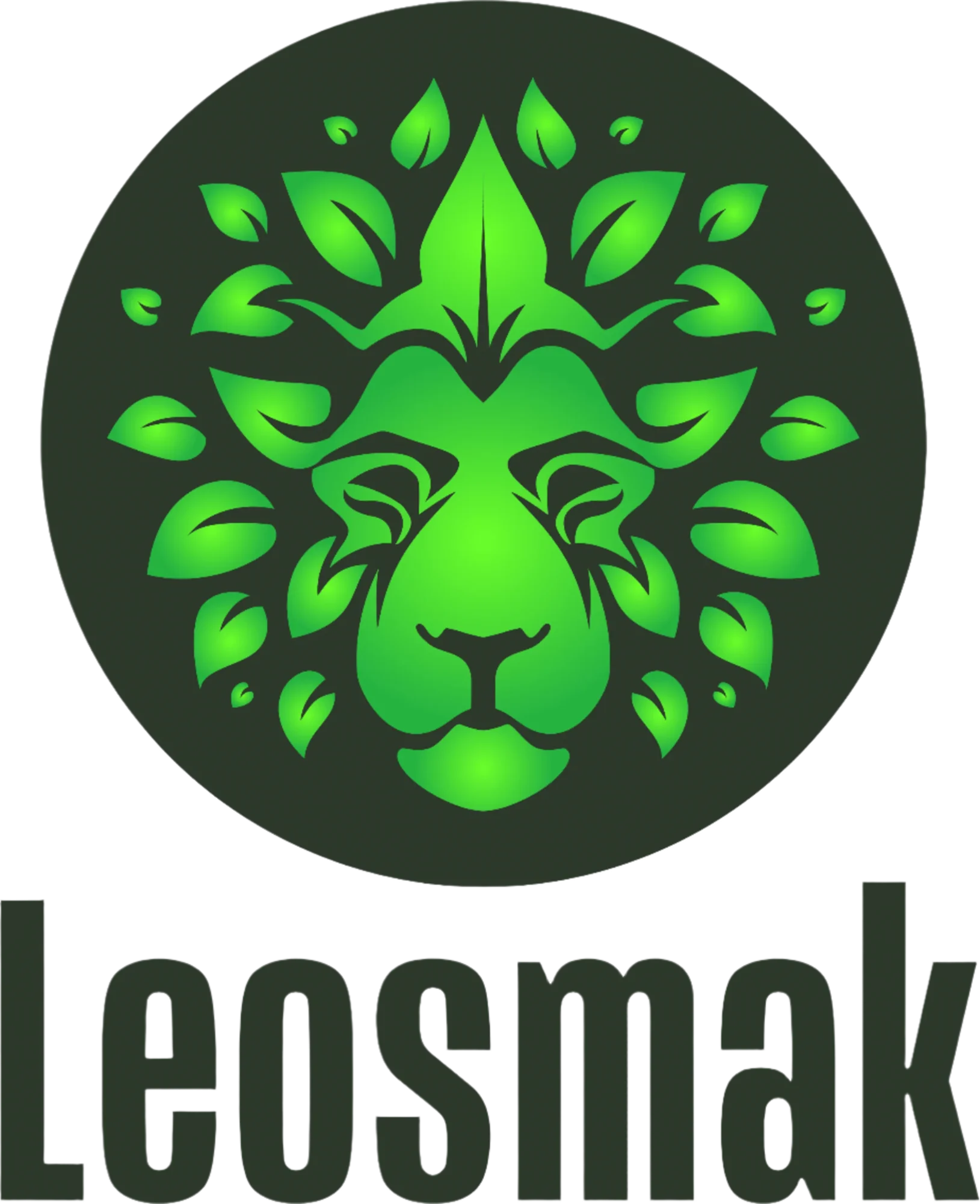 Leosmak logo