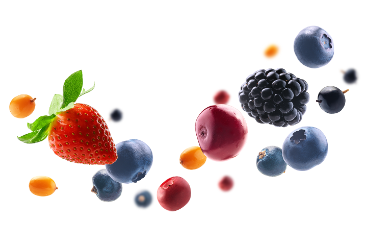 Freeze-dried berries cost analysis for Leosmak equipment