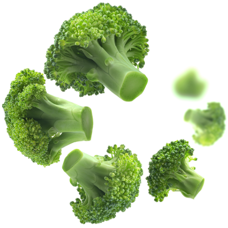 Freeze-dried broccoli representing various food preservation possibilities