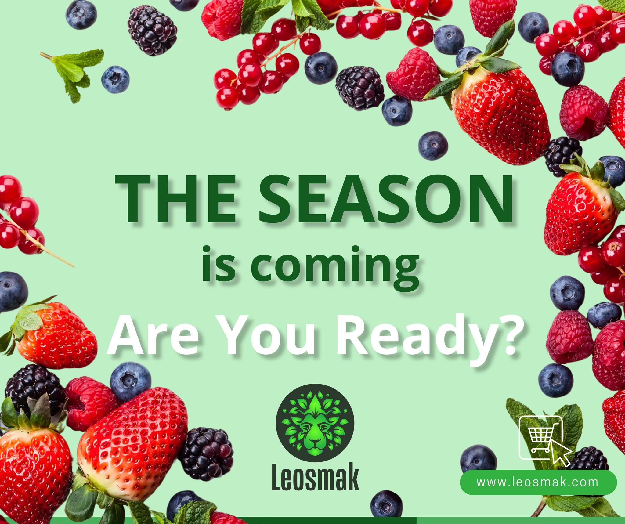 Harvest preparation and freeze drying technology