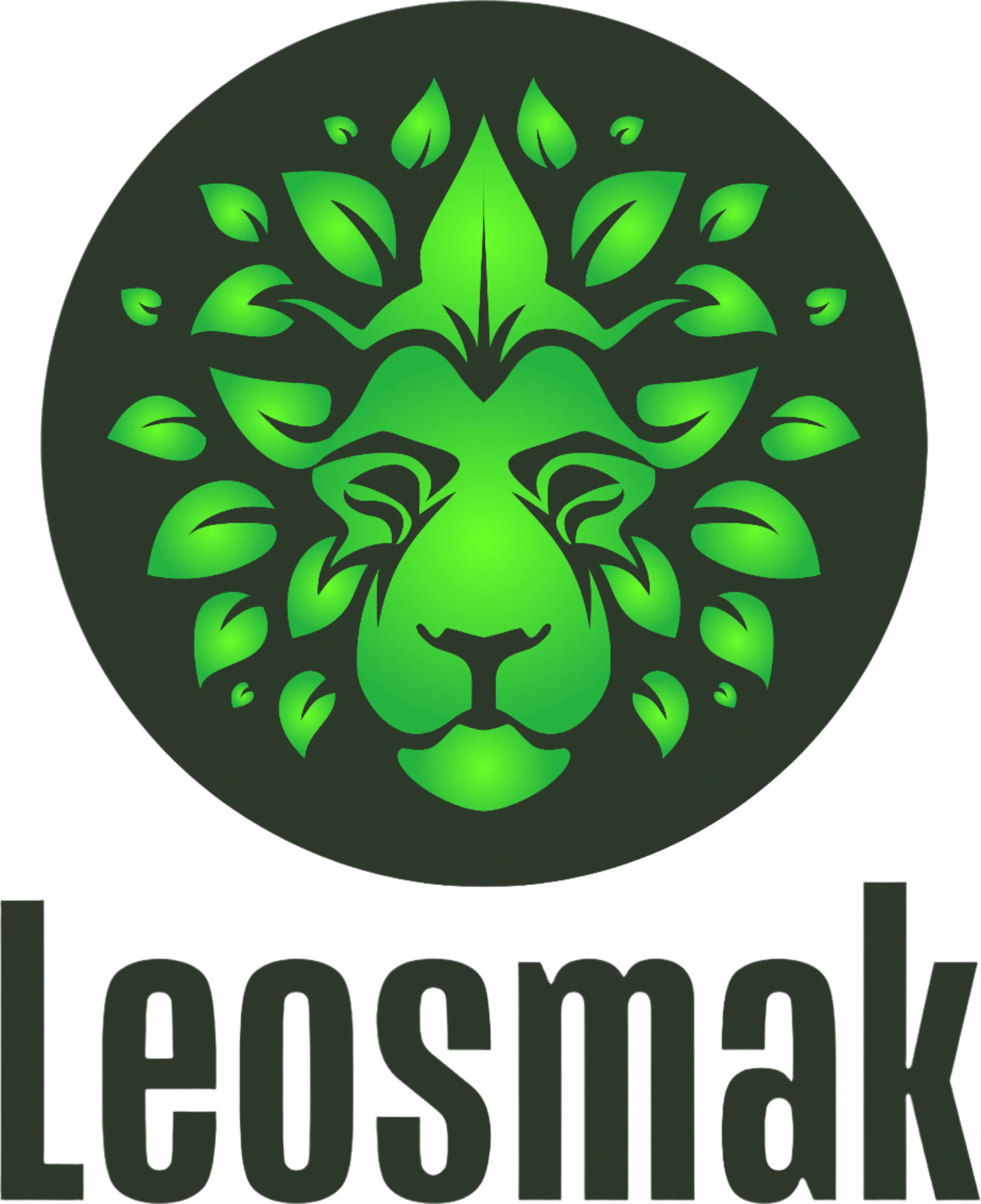 Leosmak logo