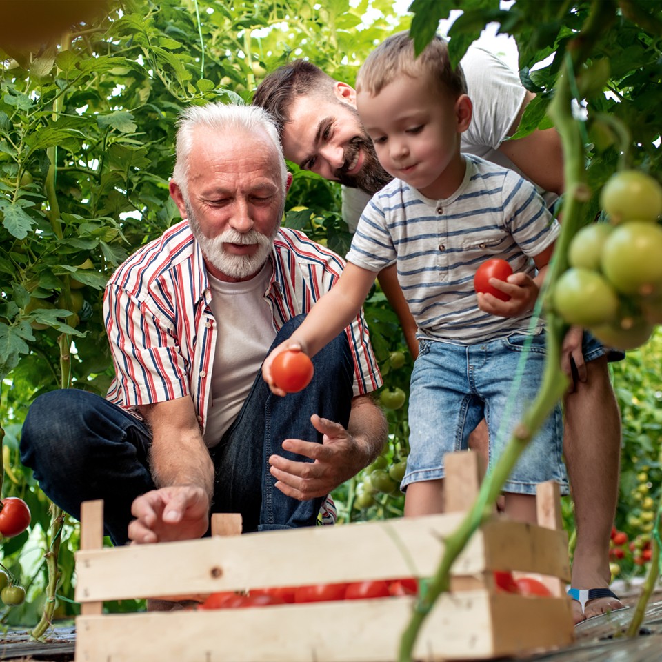 A equipa Leosmak e os clientes que utilizam liofilizadores